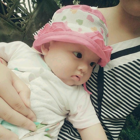 journal_insert_pic_532972632