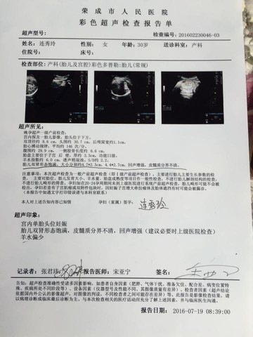 journal_insert_pic_533033411