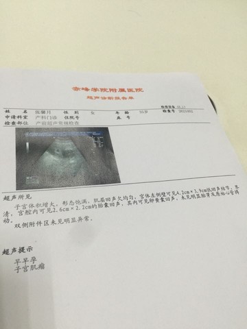 journal_insert_pic_532928349