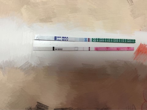 journal_insert_pic_533521218
