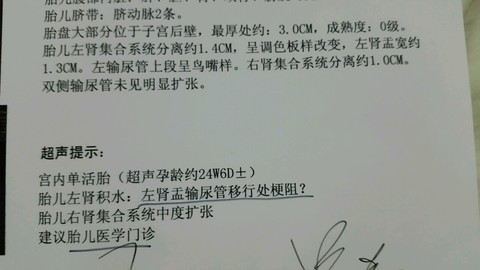 journal_insert_pic_535445008