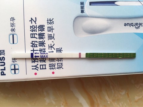 journal_insert_pic_535733796