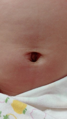 journal_insert_pic_535744340