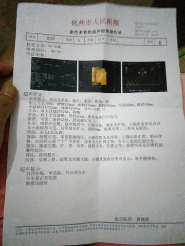 journal_insert_pic_537108265
