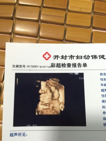 journal_insert_pic_538342415