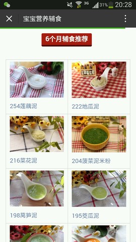 journal_insert_pic_538303658