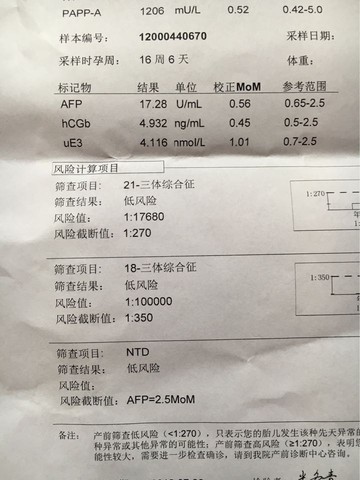 journal_insert_pic_540812578