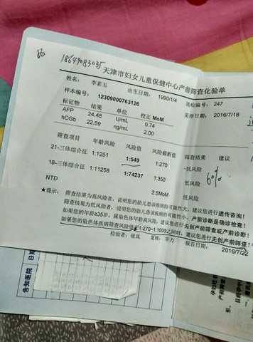 journal_insert_pic_540854944