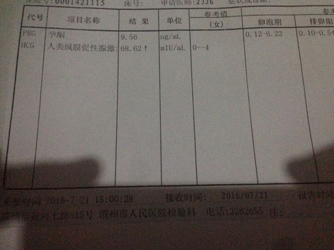 journal_insert_pic_541542935