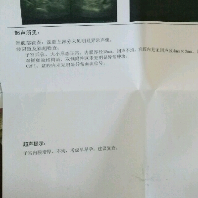 journal_insert_pic_541498169