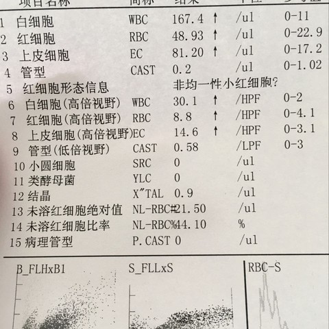 journal_insert_pic_542218721
