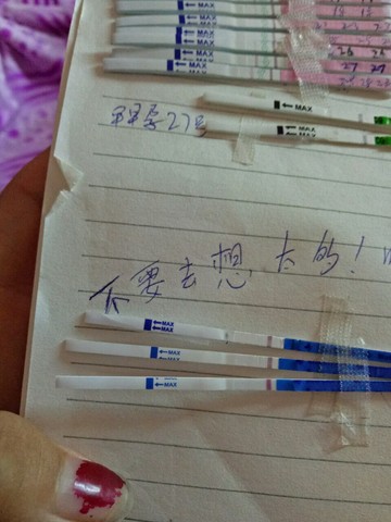 journal_insert_pic_542542283