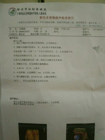 journal_insert_pic_544622420