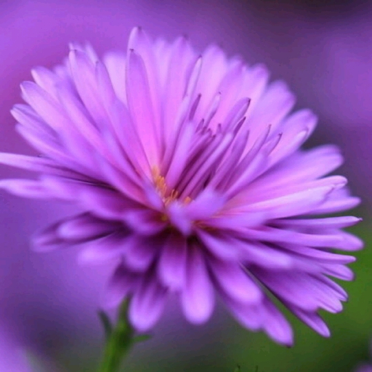 哺乳期恢复到了 90斤