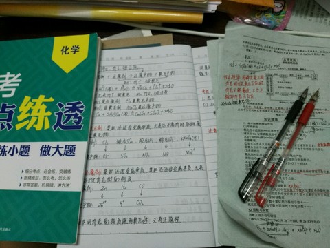 journal_insert_pic_551466205