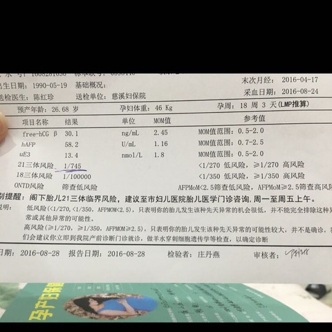 journal_insert_pic_563897024