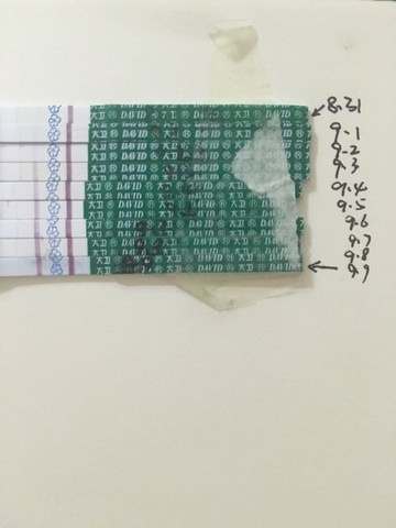 journal_insert_pic_567856758
