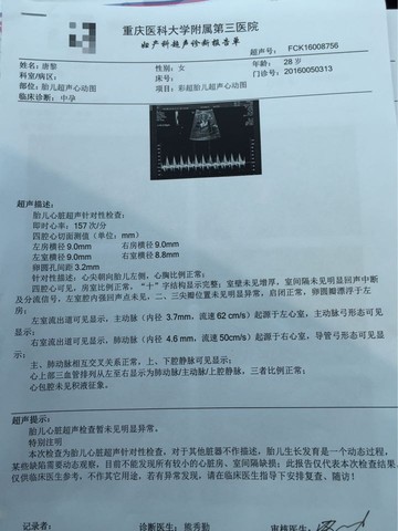 journal_insert_pic_575212597