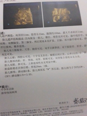 journal_insert_pic_575946997