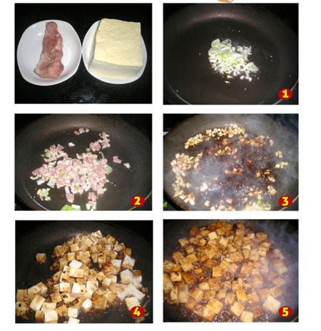 journal_insert_pic_575842950