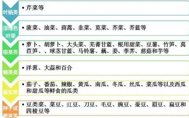 journal_insert_pic_600718182