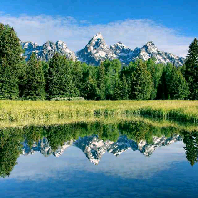 涡河居士孙青松