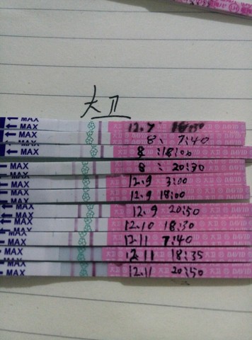 journal_insert_pic_624263473