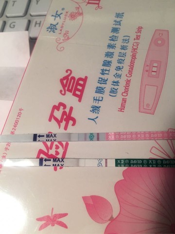 journal_insert_pic_629735830