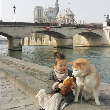 journal_insert_pic_639591578