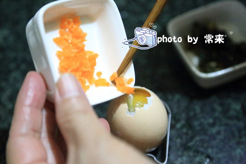 journal_insert_pic_732237085
