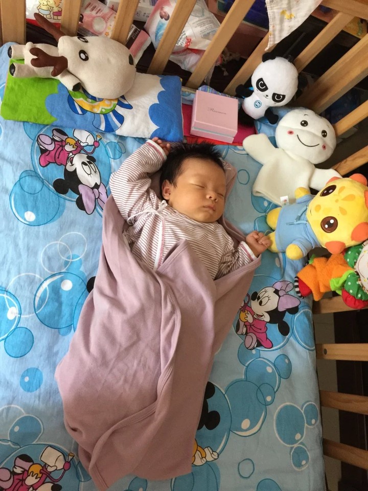 journal_insert_pic_824733202