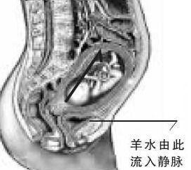 微信截图_20180126194715.png