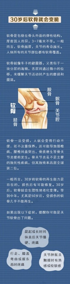 journal_insert_pic_989610847