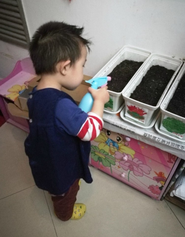 journal_insert_pic_994750054