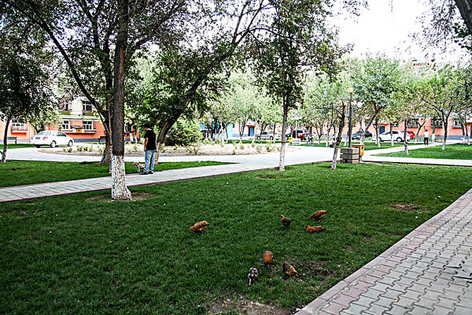 journal_insert_pic_1095801918