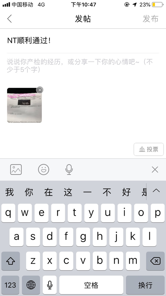 journal_insert_pic_1133656770