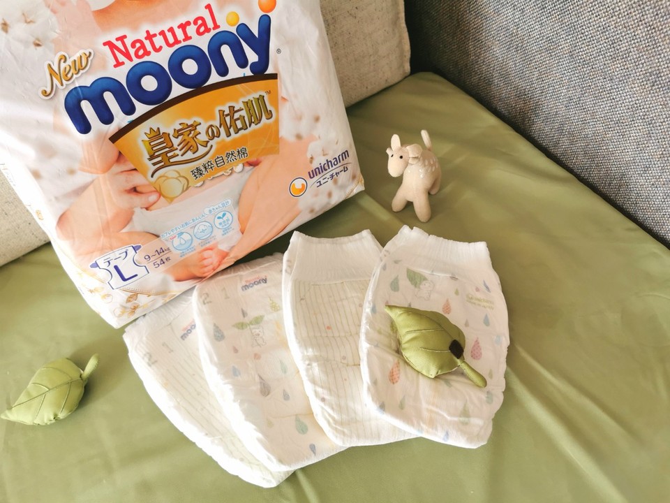 journal_insert_pic_1330691339